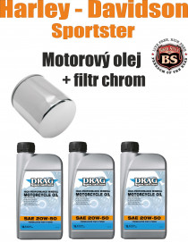 SPORTSTER oil pack small2