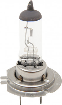 H7 55W HALOGEN